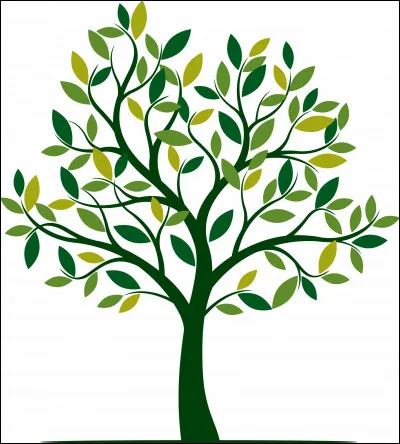 Quel est ton arbre préféré ?