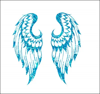 Et pour finir, dans quel livre entend-on le mot ailes ?