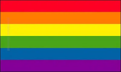 Quelles couleurs ont été enlevées du premier drapeau LGBT ?