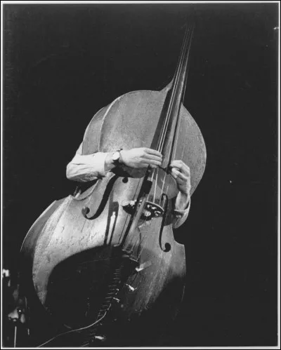 Un ensemble défunt de fins défunkatoires avec - entre autres - le violoniste Laurent Vercambre. Qui était-ce ?