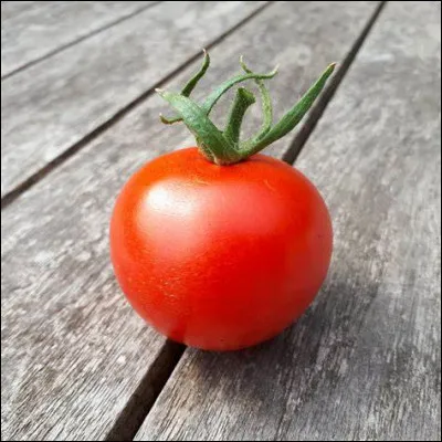 Deux fous discutent. Le premier fou dit : "As-tu déjà vu une tomate chanter ?"
 Que répond le deuxième fou ?