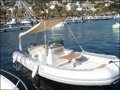 Un homme et un chien sont sur un bateau. Le chien pète, l'homme tombe à l'eau puis se noie. Quelle est la race du chien ?