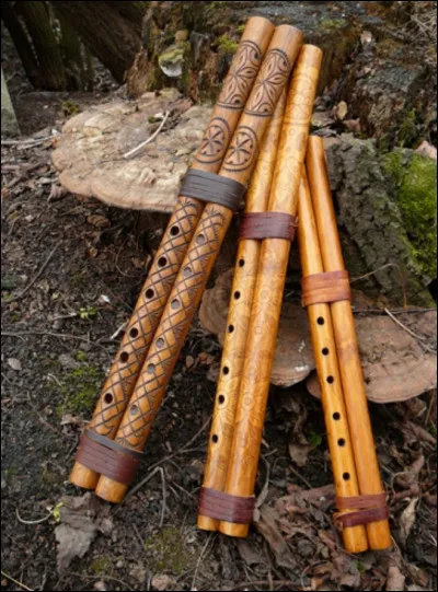 Cet instrument de musique est...