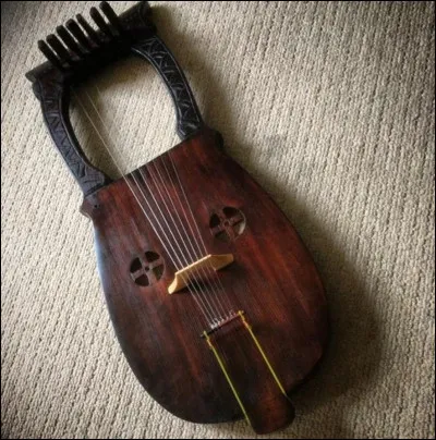 Comment s'appelle cet instrument à 7 cordes ?