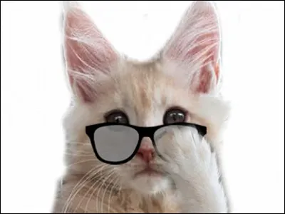 As-tu déjà voyagé seul(e) en dehors de ton pays ?