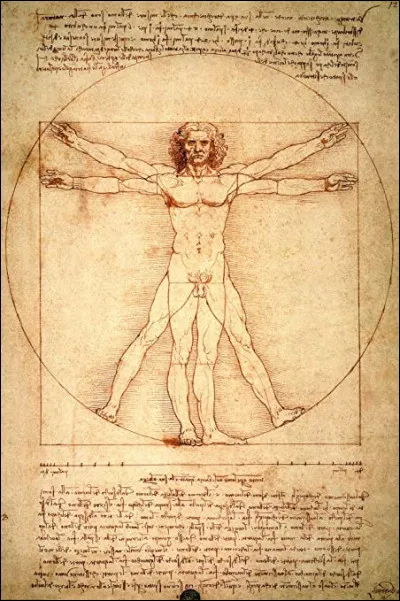 Art plastique : Qui a créé l'Homme de Vitruve ?