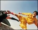 Quel est ce film ? Indices : Foot et Kung Fu.