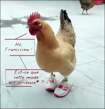 Ce proverbe serait - comme le poulet - &agrave; l'aise dans ses basquaises : "Le flatteur est ...[Compl&eacute;tez !]"