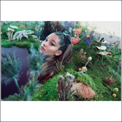 Quelle photo ne vient pas du "Dangerous Woman Tour" ?