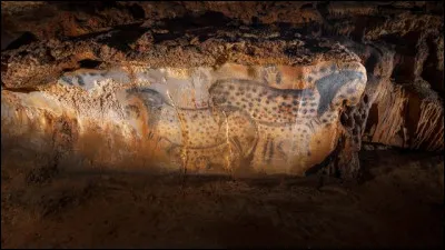Dans quel d&eacute;partement pourrez-vous voir les peintures de la grotte de Pech Merle ?