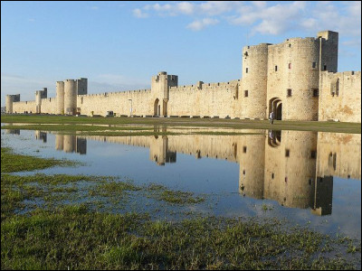 Dans quel département verrez-vous la ville fortifiée d'Aigues-Mortes ?