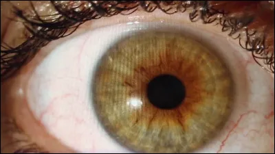 Ta réponse est sûrement là.