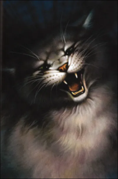 Qui est la mère de Plume Grise ?