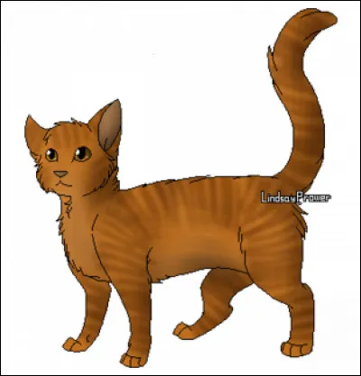 Qui est Noix Cassée ?