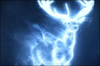 Quel est ton animal du monde magique préféré ?