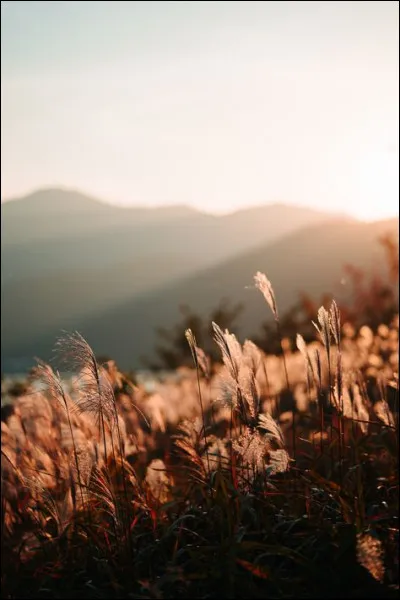 Combien d'années la Seconde République va-t-elle durer ?