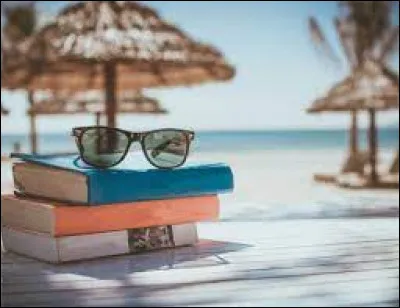 Quelle activité voudrais-tu faire pendant tes vacances ?