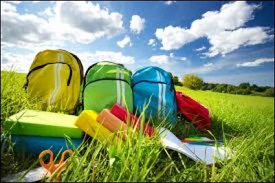 Niveau décoration du logement, que voudrais-tu ?