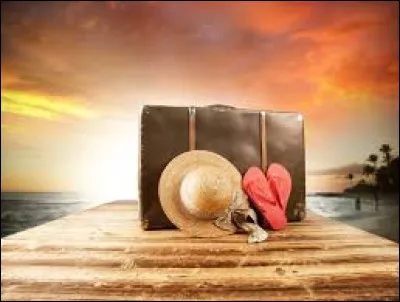 Au niveau de l'espace extérieur attenant au logement, que préfères-tu ?