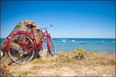 Quel est ton moyen de transport pour te déplacer depuis ton logement ? (pour aller faire des courses ou autres)