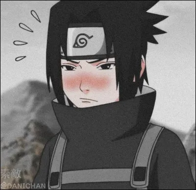 Supportes-tu Sasuke ?