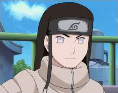 Aimes-tu Neji ?