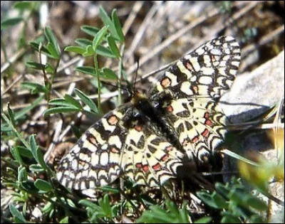 Et celui-ci, quel est-il ?