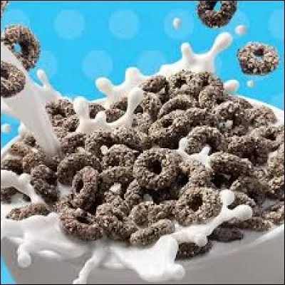 Ces céréales chocolatées sont des...