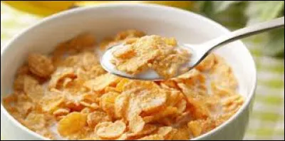 Ces céréales ont pour mascotte un tigre. Voici des...