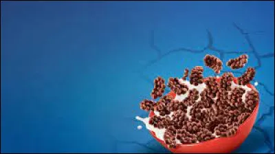 Ces céréales chocolatées sont des...