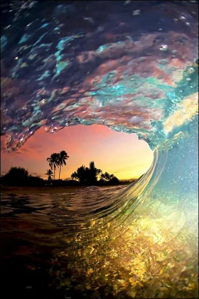 En quelle année la IVe République est-elle instaurée ?