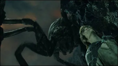 Qui pourrait être ton ami(e) ?