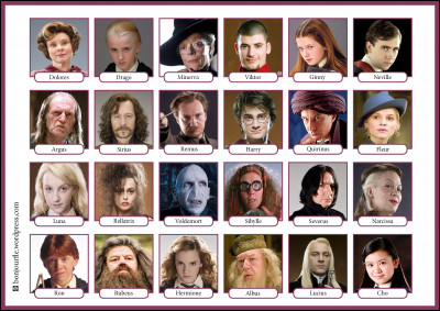 Je commence facile... Qui sont les personnages principaux dans Harry Potter ?