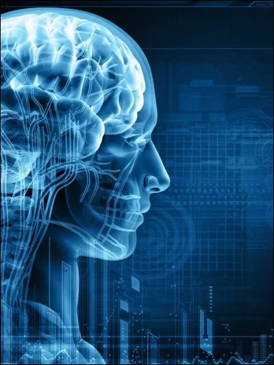 Que pourriez-vous me dire des neurones ?