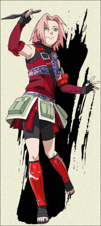 Qui est ce personnage représenté en samouraï ?