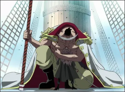 Quel est son rôle au sein de l'équipage de Barbe Blanche ?