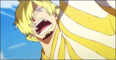 Que se passe-t-il quand Sanji tape très fort avec ses pieds ?