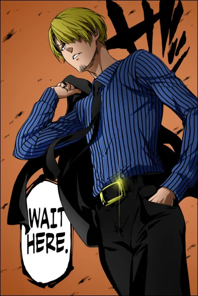 Quelles sont les activités de Sanji ?