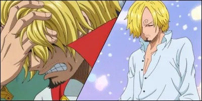 À la fin de l'arc Arlong Park que mange Sanji, qui fait envie à Luffy ?