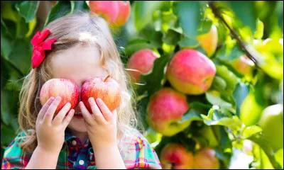 Qui chante "La Reine des pommes" en 1983 ?