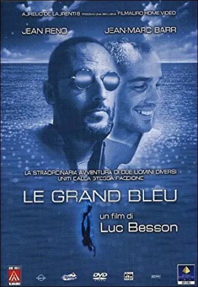 Je suis à l'écran dans "Le Grand Bleu" et "Léon".
Je suis :
