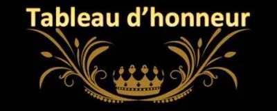 Tu es arrivé à la fin de ton premier trimestre à l'école. Tu t'attendais à avoir un tableau d'excellence, mais tu te retrouves avec seulement un tableau d'honneur ou pire. Quelle est ta réaction ?