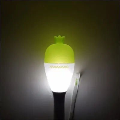 À quel groupe appartient celui-là ?