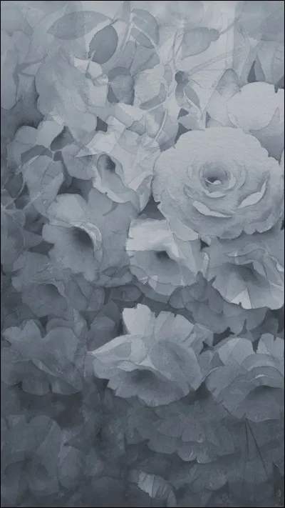 Quand un précipité vert est obtenu lors d'un test à la soude, de quels ions a-t-on pu avérer la présence ?