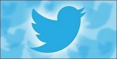 En juillet 2006, un réseau social représenté par ce petit oiseau bleu est lancé :