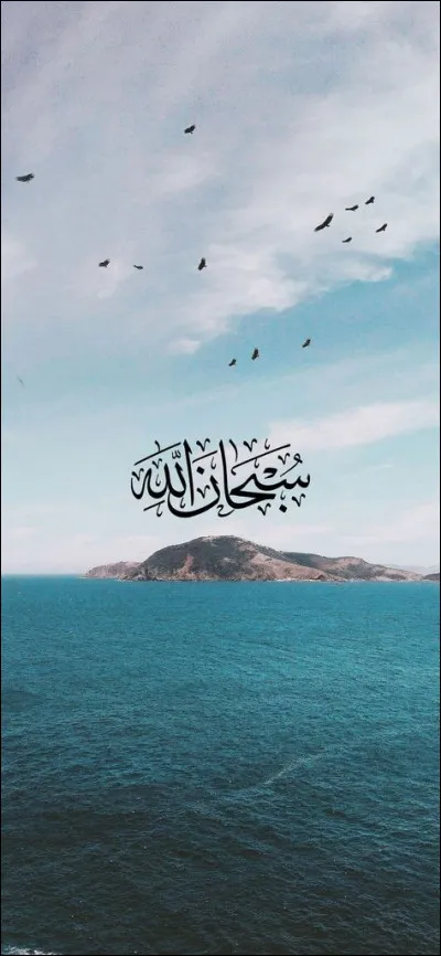 En juillet 2013, une femme entièrement voilée est interrogée quant à son identité et cela dégénère en émeute dans une ville des Yvelines connue pour être de celles qui envoie le plus de jeunes faire le djihad :