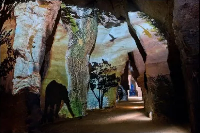 Désormais, nous sommes vraiment sous la mer ! Nous nous trouvons du côté de Doué, en Anjou. Quelle est cette merveilleuse cave qui mérite votre visite ?