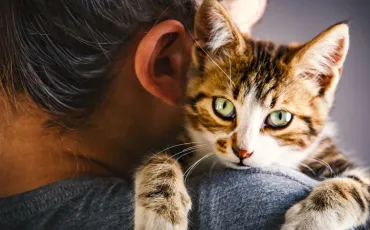 Quiz Animaux