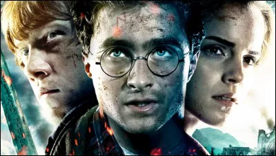 Quel personnage préfères-tu dans ''Harry Potter'' ?
