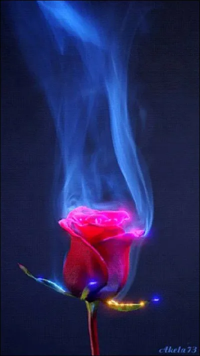 Comment dit-on "sorcière" en allemand ?